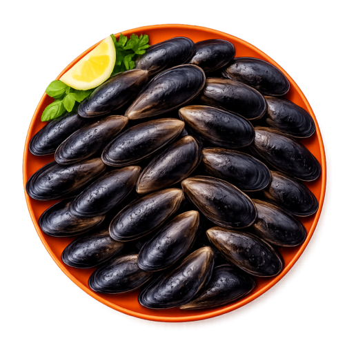 Mussels Full Shell