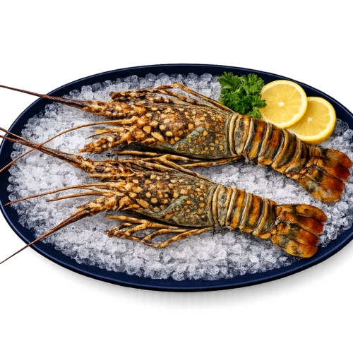 Premium Whole Lobster