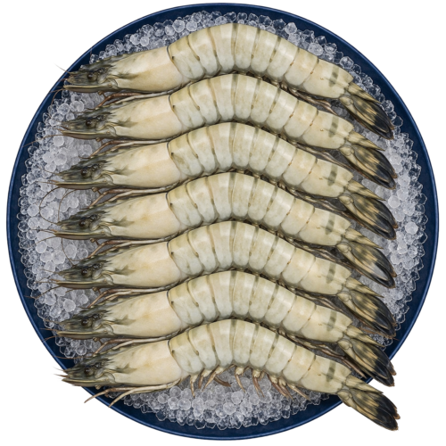 Jumpo Black Tiger Shell-On Shrimp