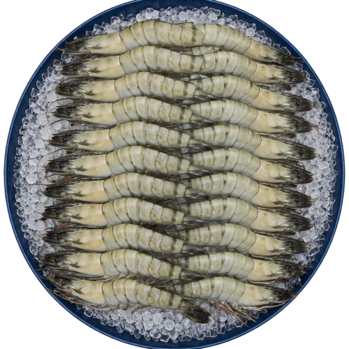 Large Black Tiger Shell-On Shrimp