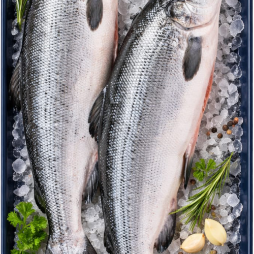 Whole Salmon
