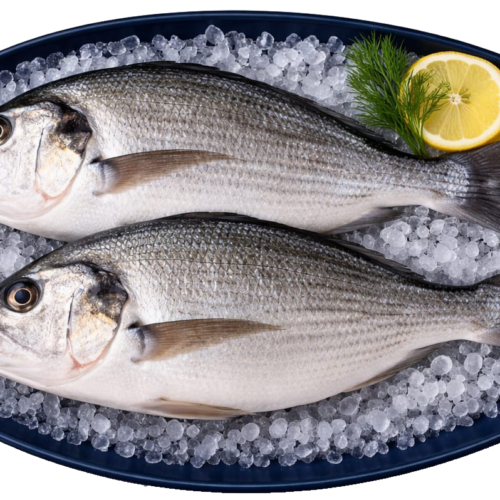 Sea Bream (Denis)
