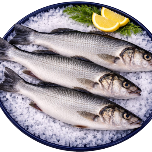 Sea Bass