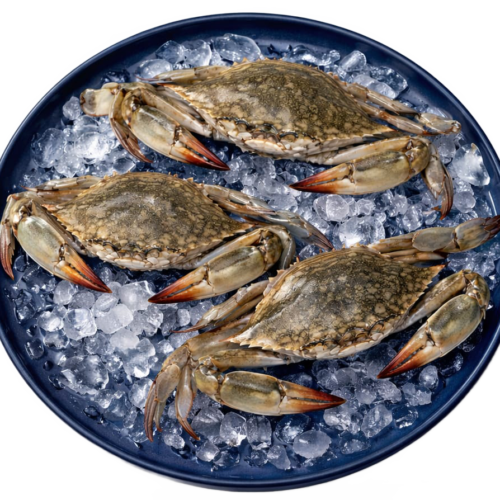 Fresh Crab