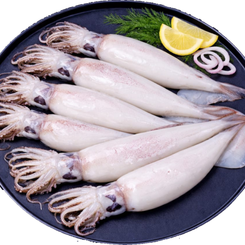 Whole Calamari