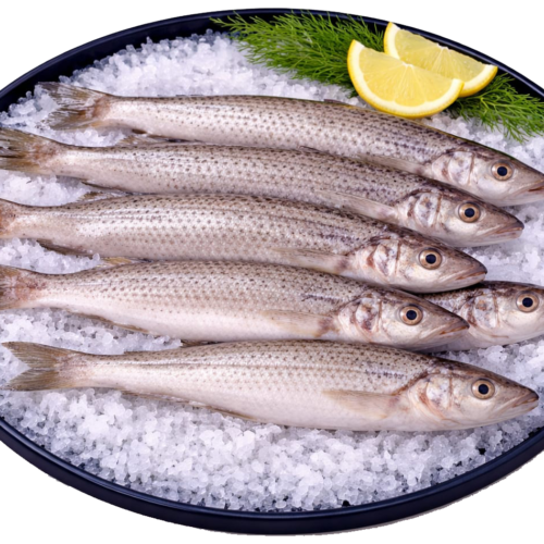 Makarona Fish